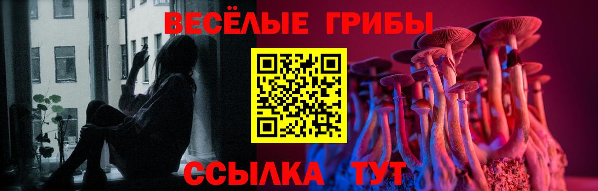 Галлюциногенные грибы мухоморы  что такое наркотик  Прокопьевск  Галлюциногенные грибы Magic Shrooms  Вход с VPN 